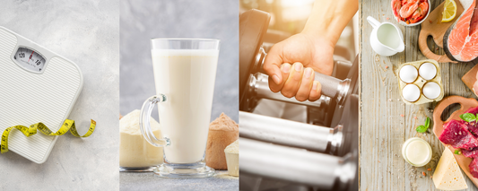 Como a Ingestão de Proteína Pode Auxiliar na Perda de Peso e no Ganho de Massa Muscular
