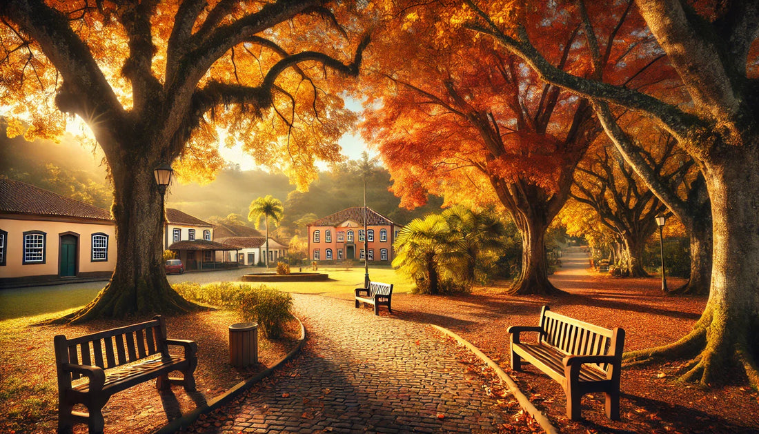 Como a Chegada do Outono Impacta Seu Bem-Estar e Como se Adaptar 🍂