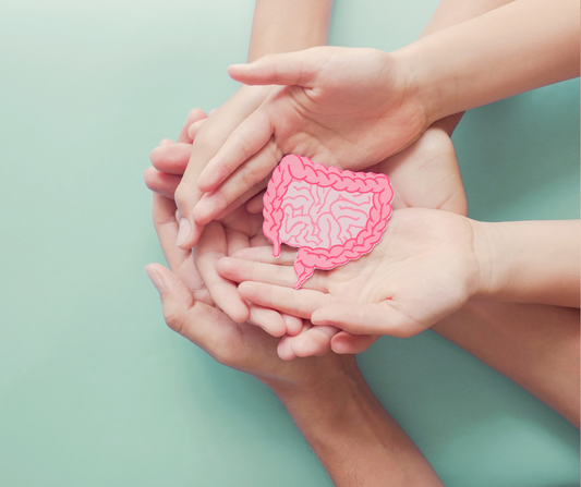 Prebióticos e Probióticos: Benefícios para o Sistema Digestivo e Todo o Corpo